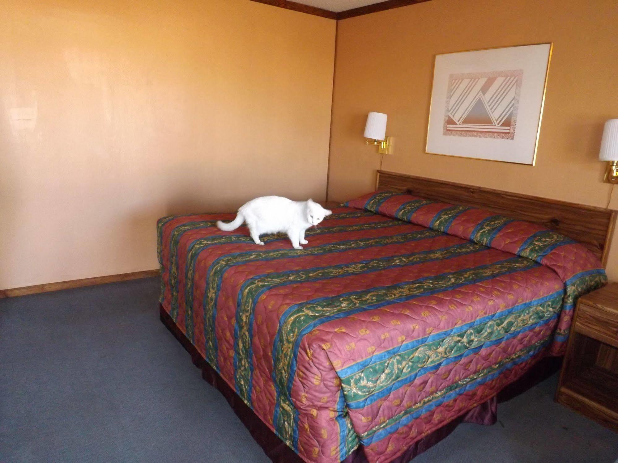 Tristar Xpress Motel 3*